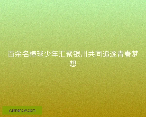 百余名棒球少年汇聚银川共同追逐青春梦想
